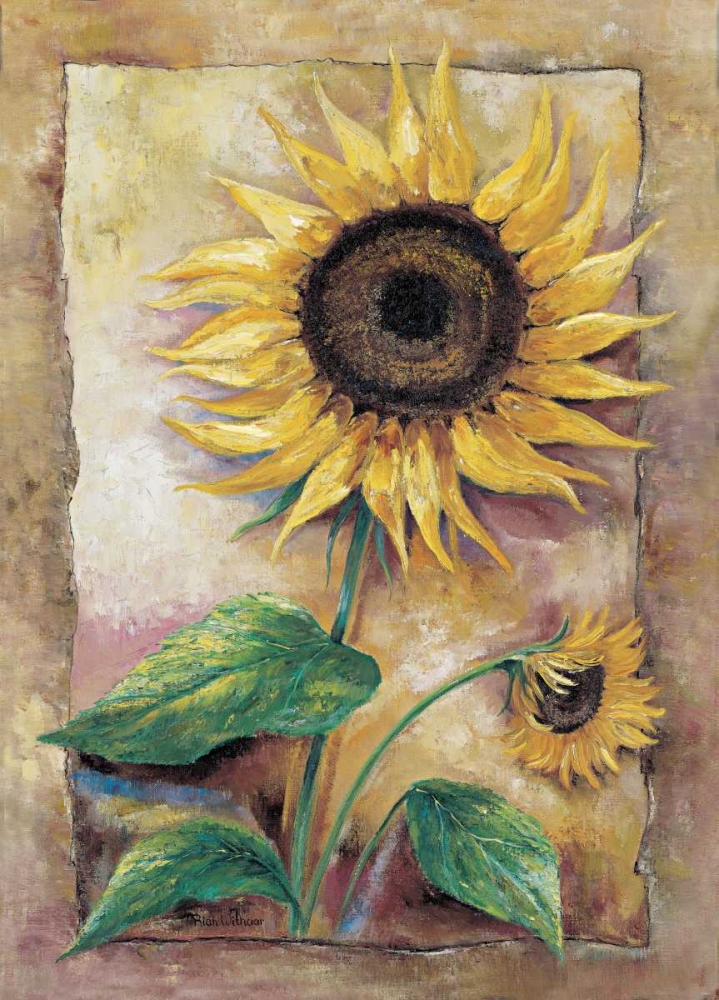 Wall Art Painting id:58021, Name: Beautiful sunflower, Artist: Withaar, Rian