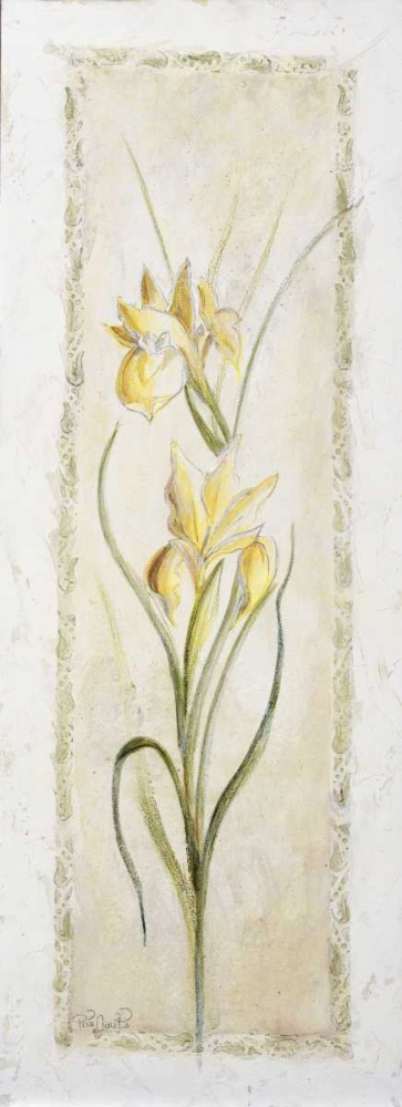 Wall Art Painting id:58089, Name: Garden delight-iris, Artist: Bonet, Julia