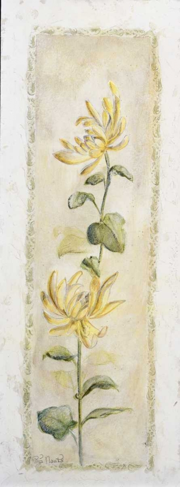 Wall Art Painting id:58090, Name: Garden delight-chrysantuemum, Artist: Bonet, Julia