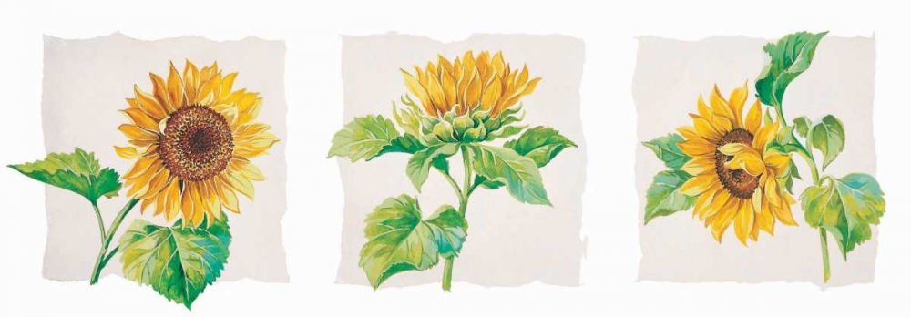 Similar wall art painting: 59084