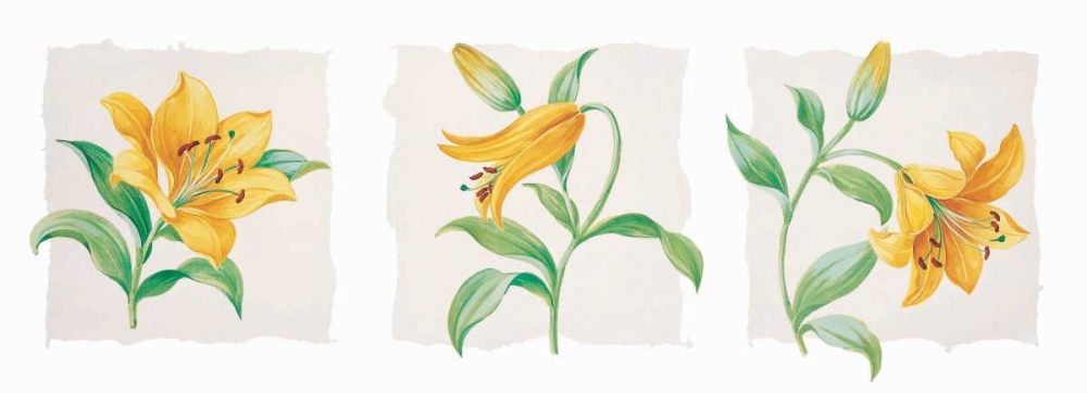 Wall Art Painting id:59085, Name: Yellow lily triptych, Artist: Kumorek, Krysztov