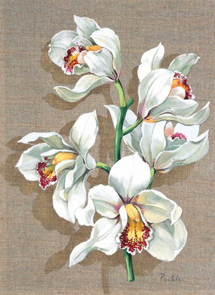 Wall Art Painting id:58147, Name: Pretty floral I, Artist: Kumorek, Krysztov