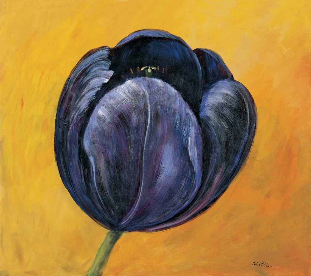 Wall Art Painting id:58174, Name: Purple tulip I, Artist: Schottler, Katharina