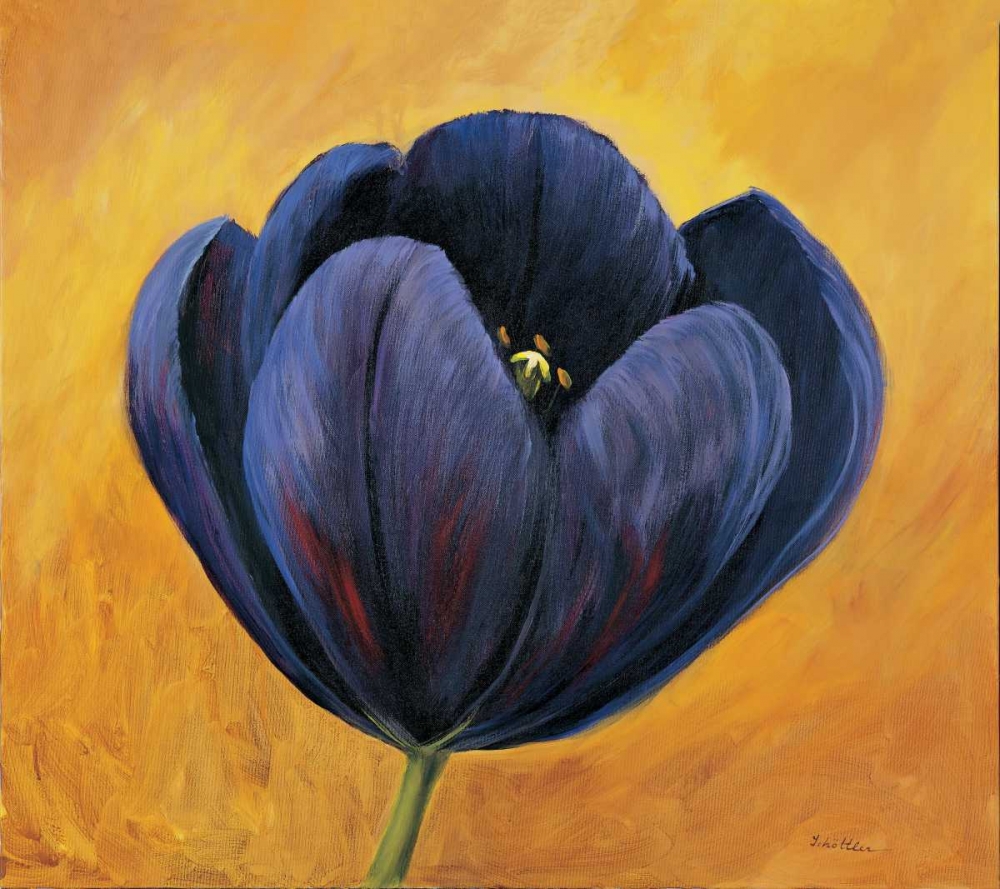 Wall Art Painting id:58176, Name: Purple tulip II, Artist: Schottler, Katharina