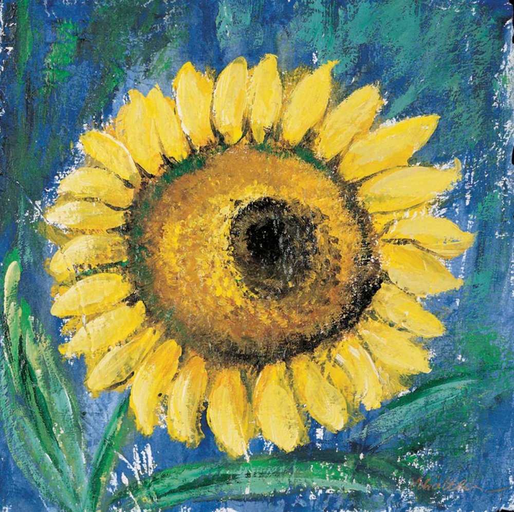 Wall Art Painting id:58183, Name: Sunflower , Artist: Schottler, Katharina