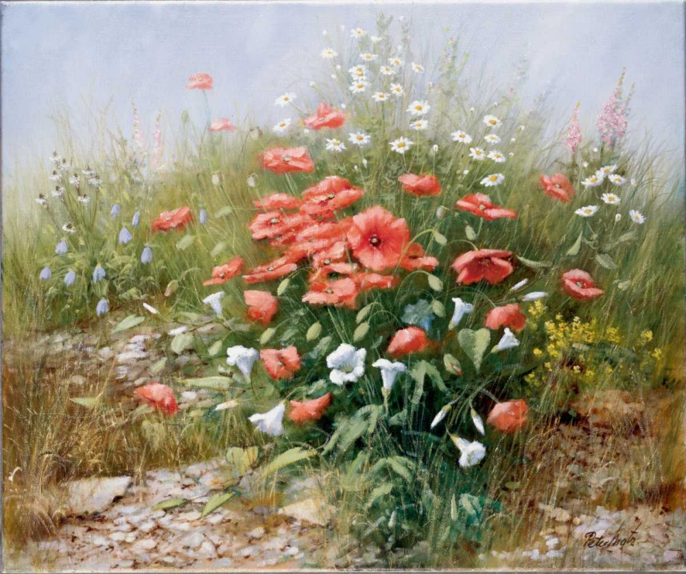 Wall Art Painting id:58424, Name: Poppies and friends, Artist: Motz, Peter