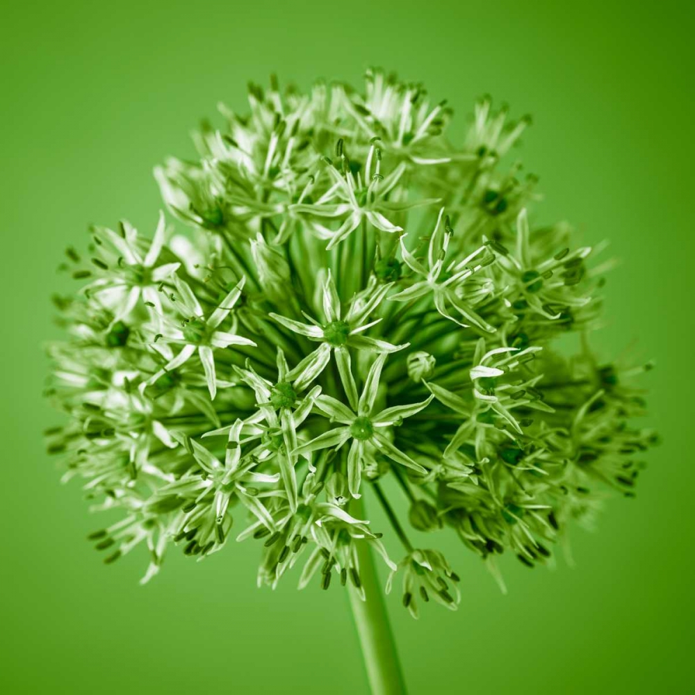 Similar wall art painting: 71831