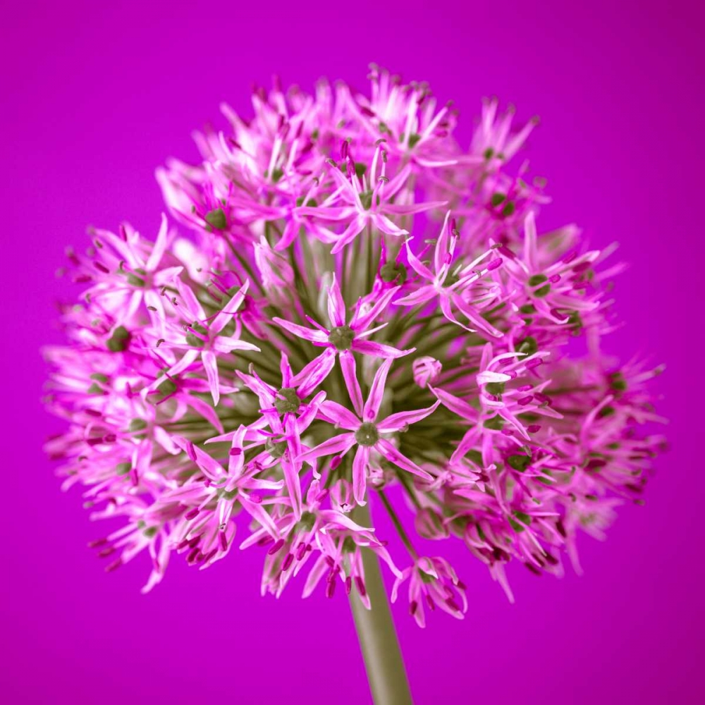 Similar wall art painting: 71832