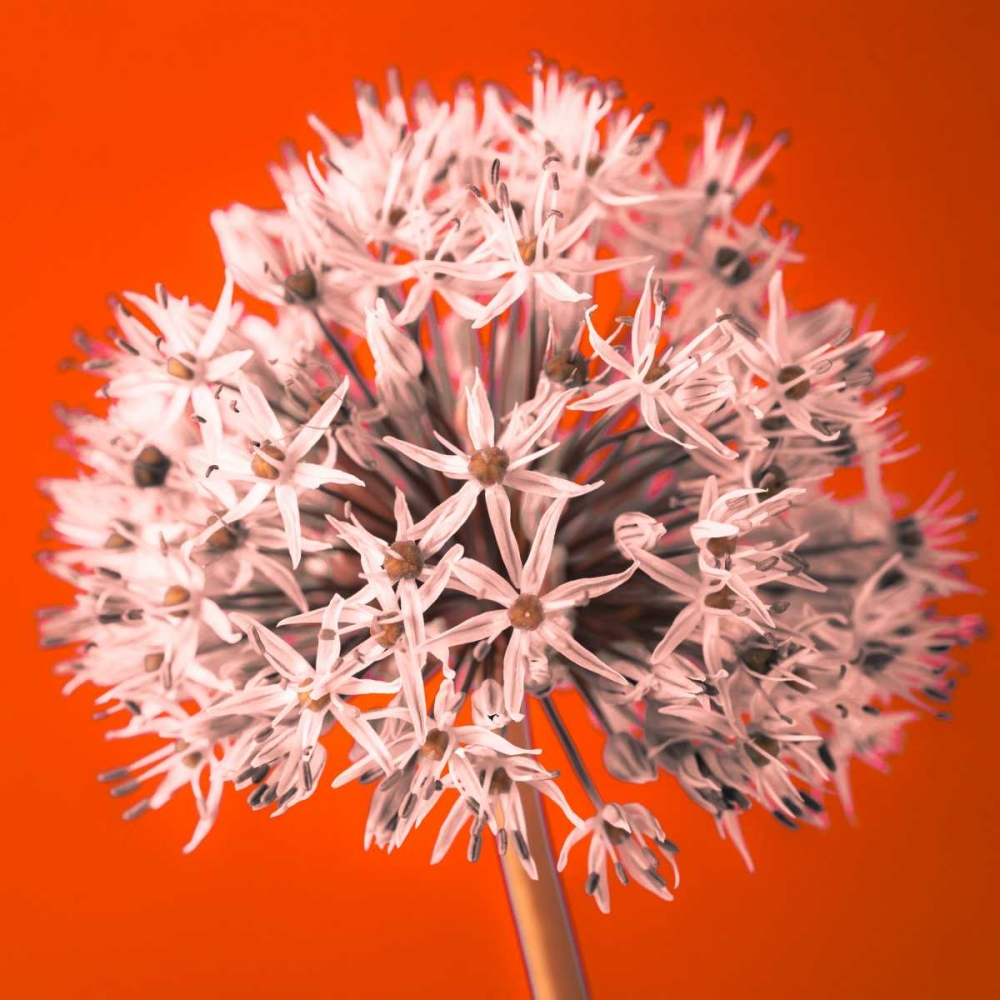 Similar wall art painting: 85273