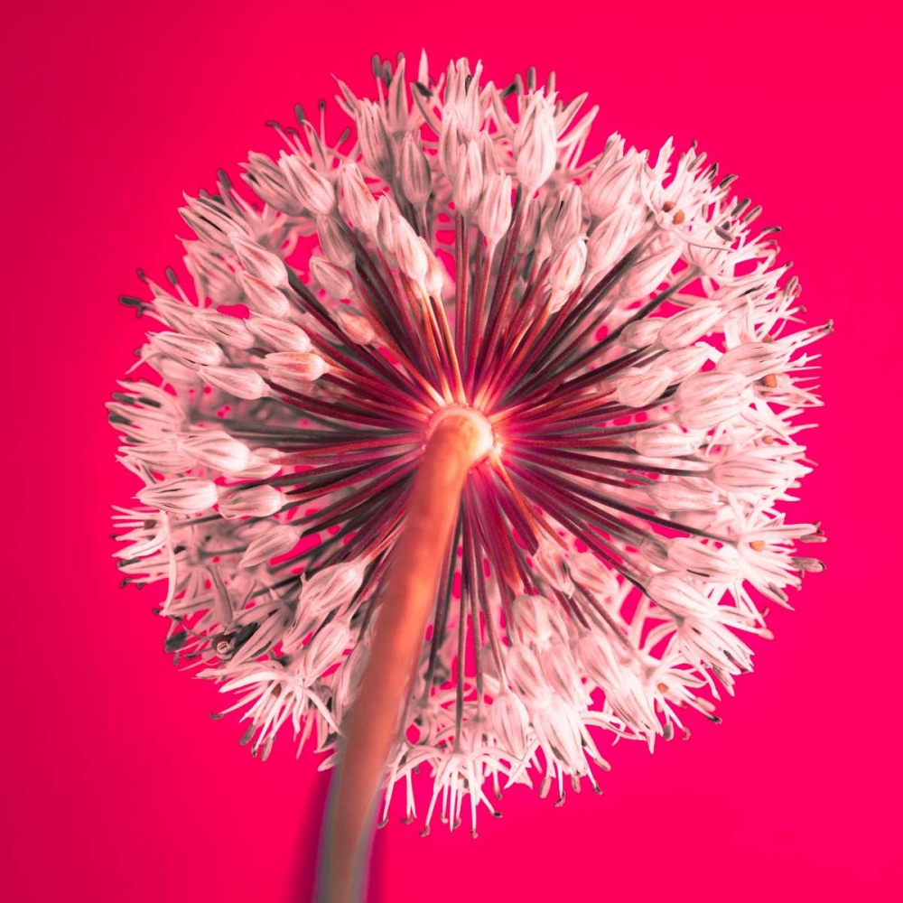 Similar wall art painting: 71840