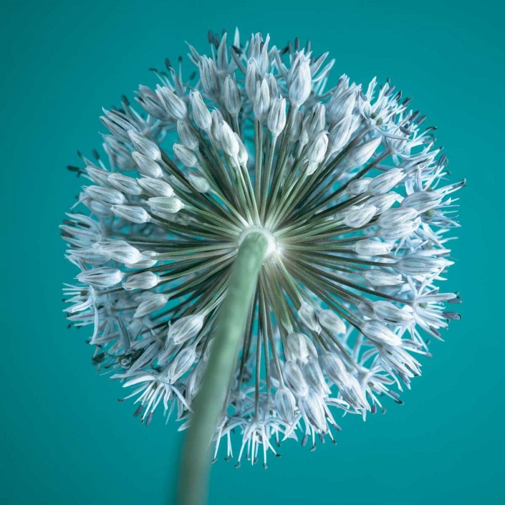 Similar wall art painting: 71835