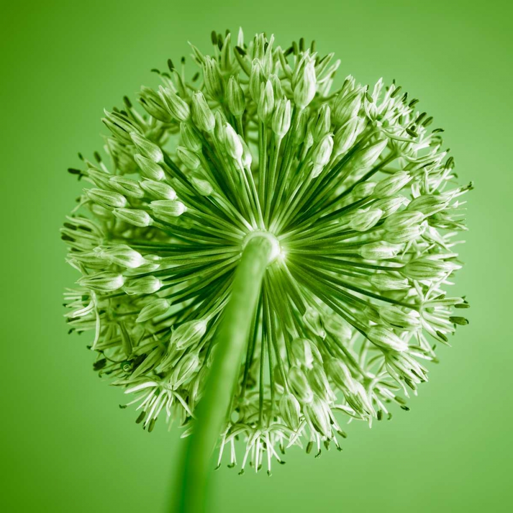 Similar wall art painting: 71837