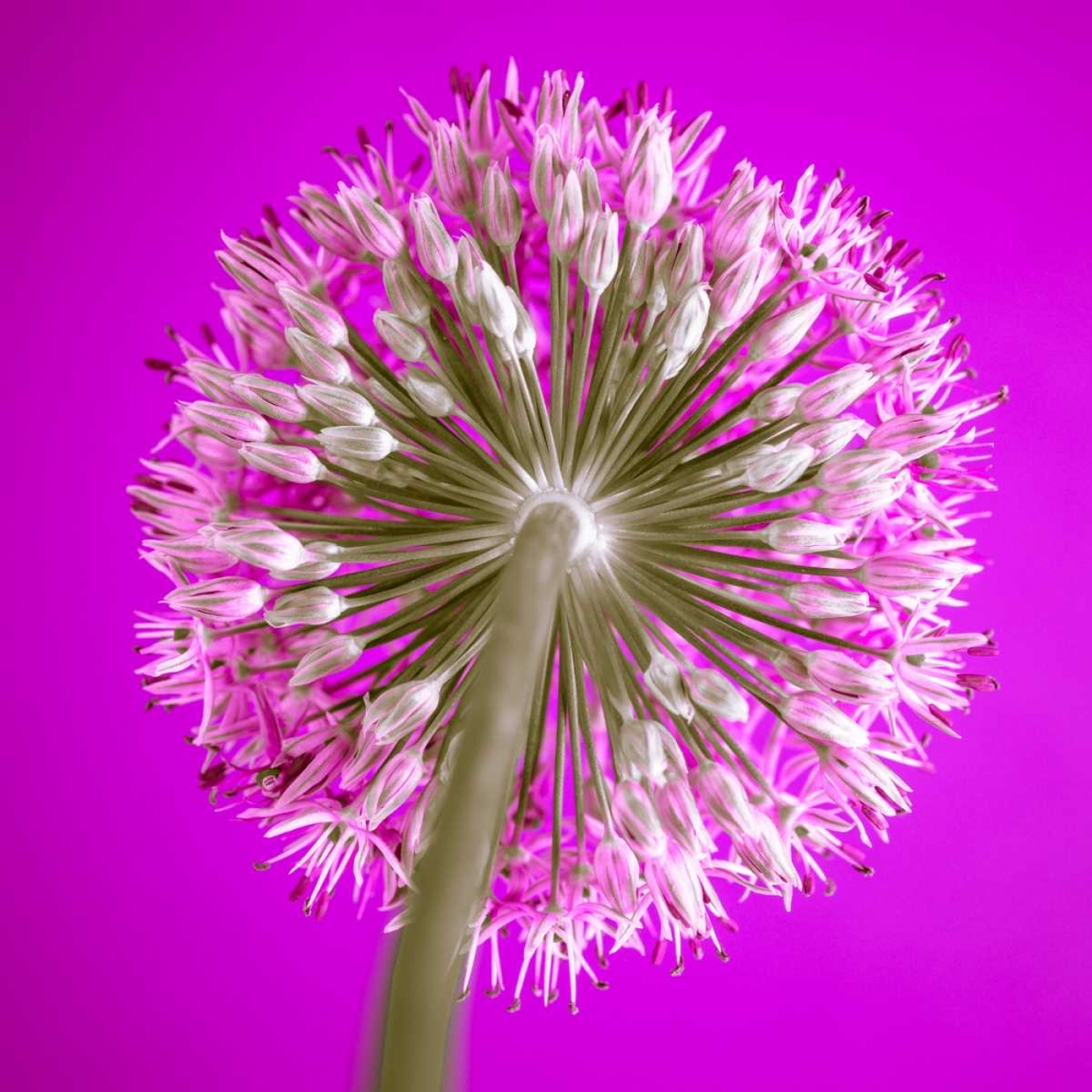 Similar wall art painting: 71838