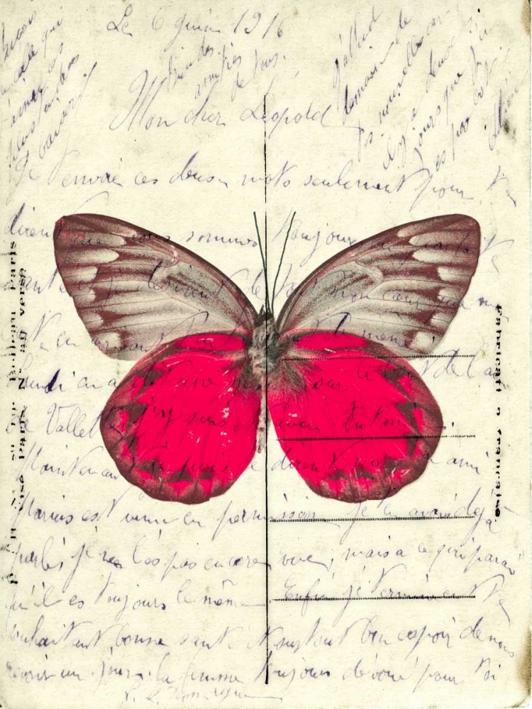 Wall Art Painting id:103297, Name: Handwritten old postcard with butterfly, Artist: Frank, Assaf