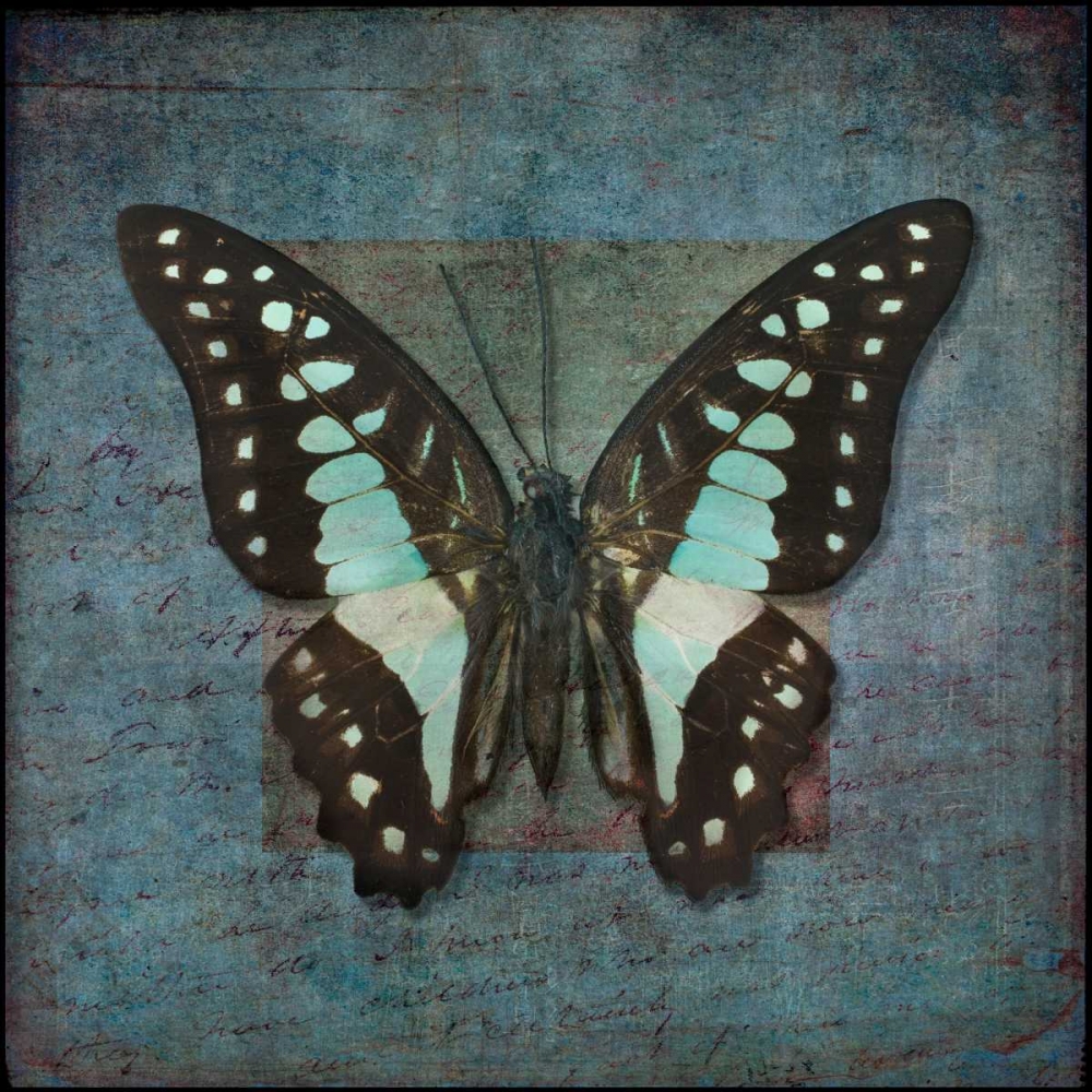 Wall Art Painting id:103298, Name: Colorful tropical Butterfly with vintage effects, Artist: Frank, Assaf