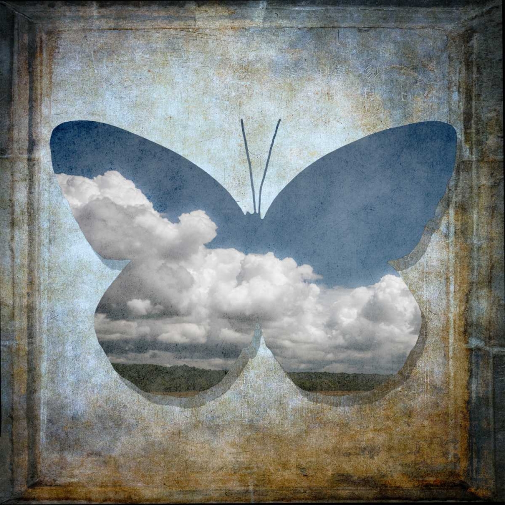 Wall Art Painting id:103300, Name: Colorful Butterfly with Vintage effects, Artist: Frank, Assaf