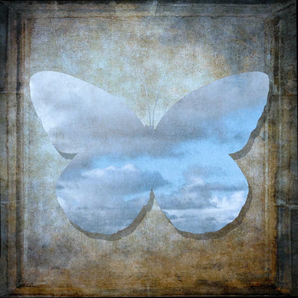 Wall Art Painting id:103302, Name: Colorful tropical Butterfly with vintage effects, Artist: Frank, Assaf