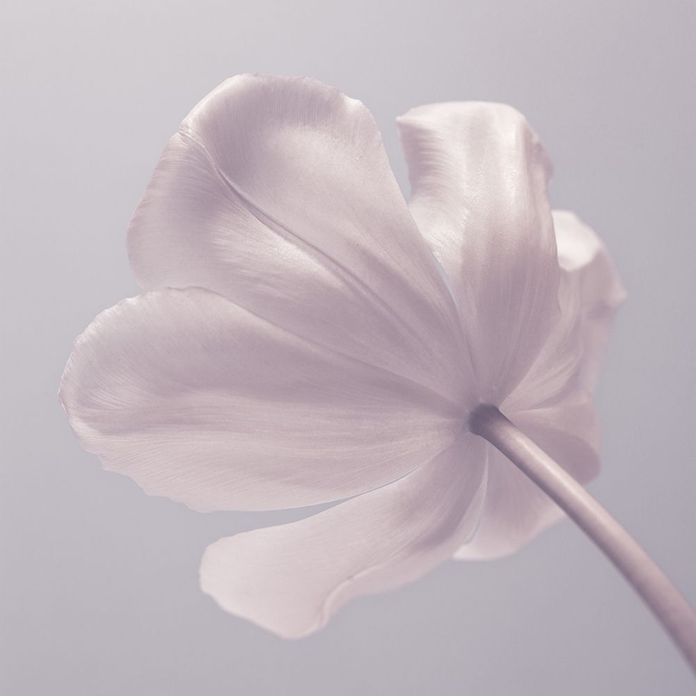 Similar wall art painting: 311089