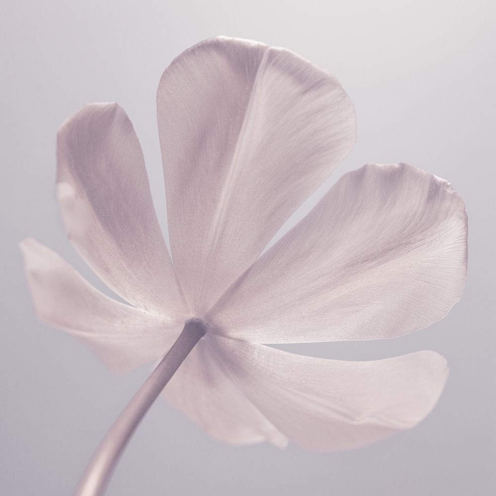 Similar wall art painting: 311090