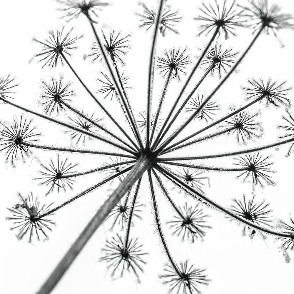 Similar wall art painting: 434317