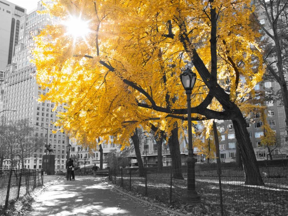 Wall Art Painting id:103563, Name: Pathway through Central park, New York City, Artist: Frank, Assaf