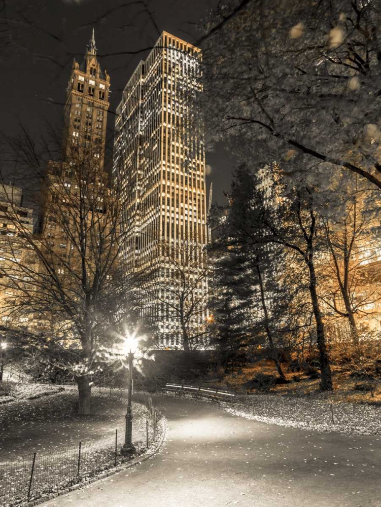 Wall Art Painting id:103578, Name: Evening view of Central Park in New York City, Artist: Frank, Assaf