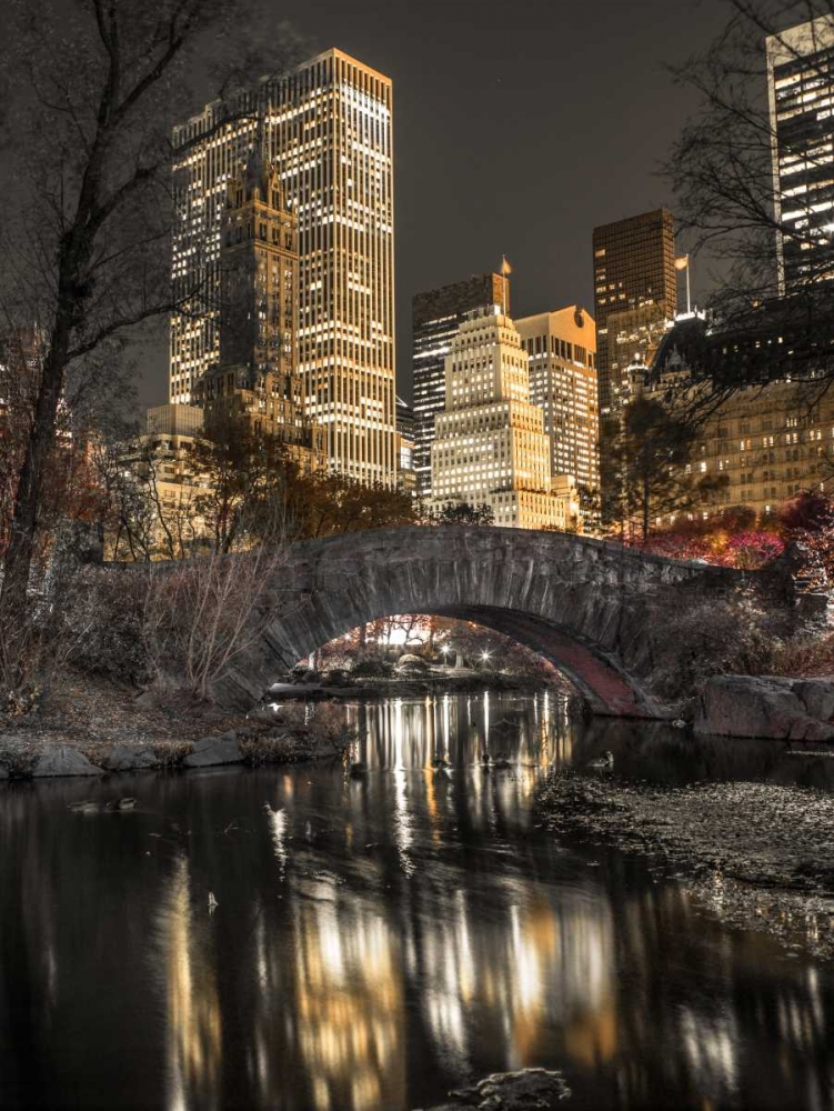 Wall Art Painting id:103582, Name: Evening view of Central Park in New York City, Artist: Frank, Assaf