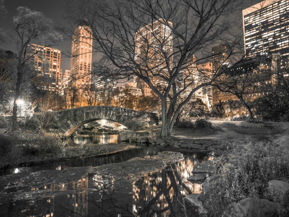 Wall Art Painting id:103583, Name: Evening view of Central Park in New York City, Artist: Frank, Assaf