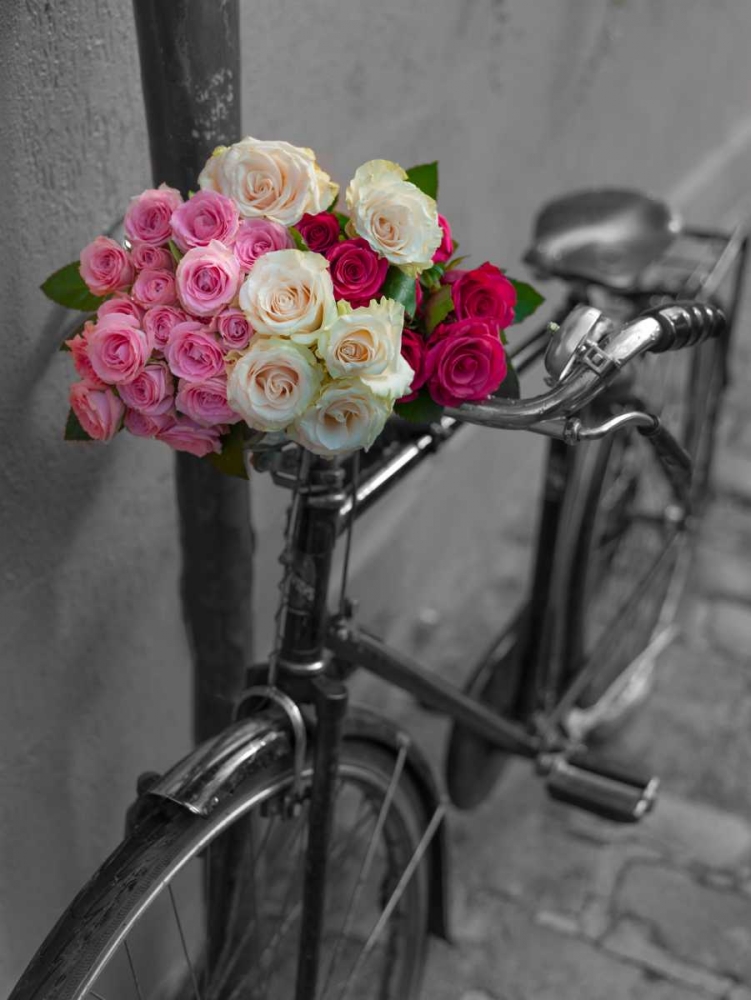 Wall Art Painting id:103686, Name: Bunch of Roses on bicycle, Paris, France, Artist: Frank, Assaf