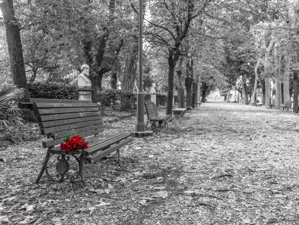 Wall Art Painting id:103826, Name: Bunch of roses on a park bench in Rome, Italy, Artist: Frank, Assaf