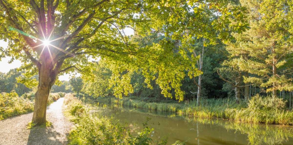 Wall Art Painting id:104114, Name: Basingstoke canal in countryside, UK, Artist: Frank, Assaf