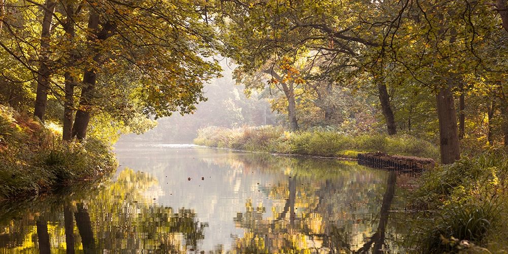 Wall Art Painting id:411204, Name: Basingstoke canal, Artist: Frank, Assaf