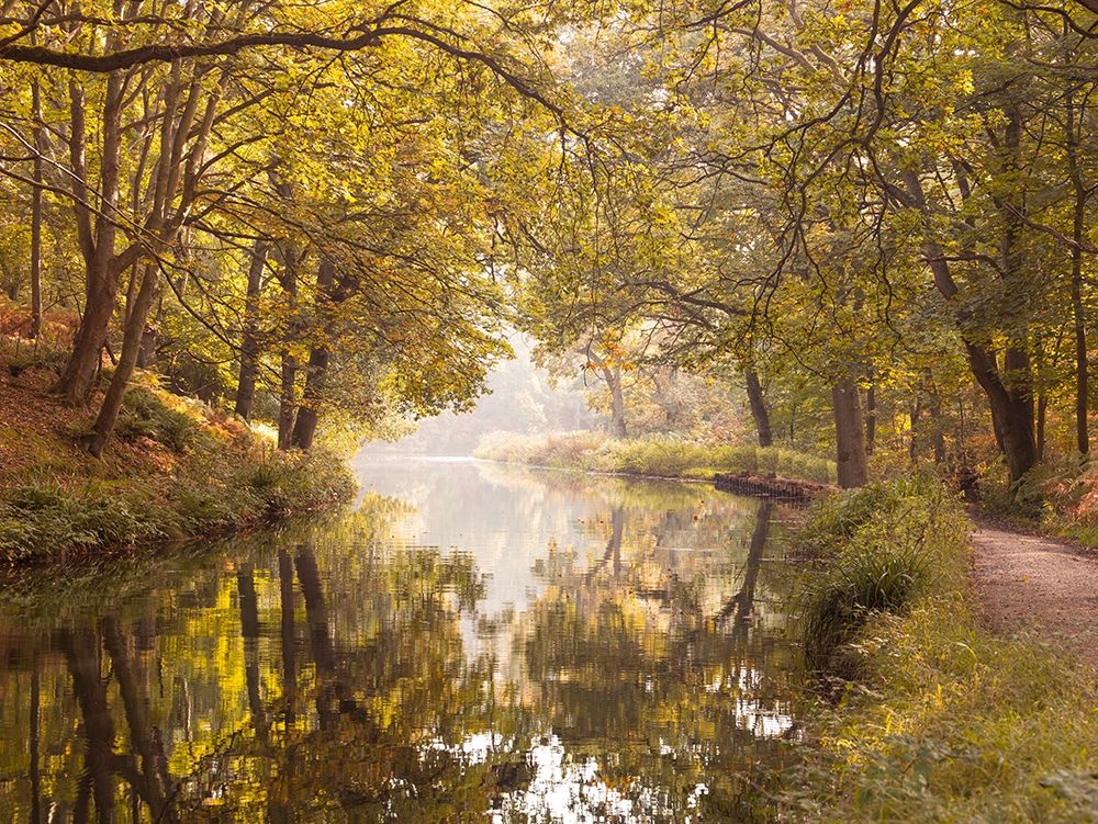 Wall Art Painting id:411205, Name: Basingstoke canal, Artist: Frank, Assaf