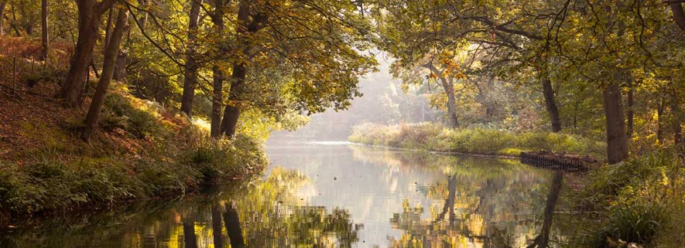 Wall Art Painting id:104119, Name: Basingstoke canal in countryside, UK, FTBR-1828, Artist: Frank, Assaf