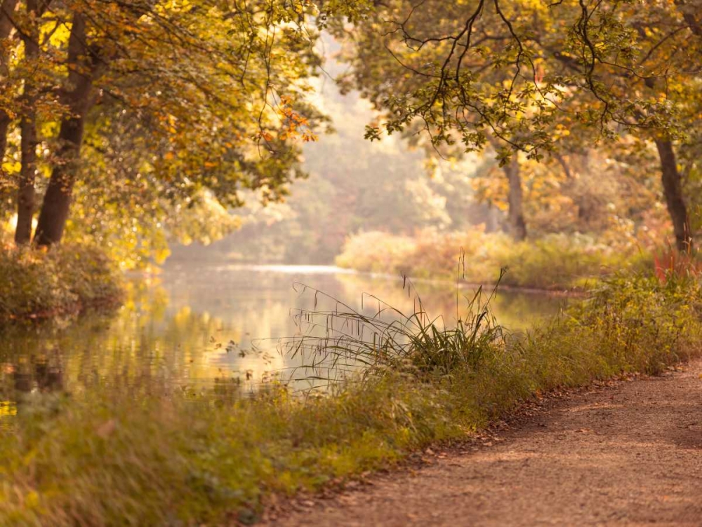 Wall Art Painting id:104120, Name: Basingstoke canal in countryside, UK, FTBR-1829, Artist: Frank, Assaf