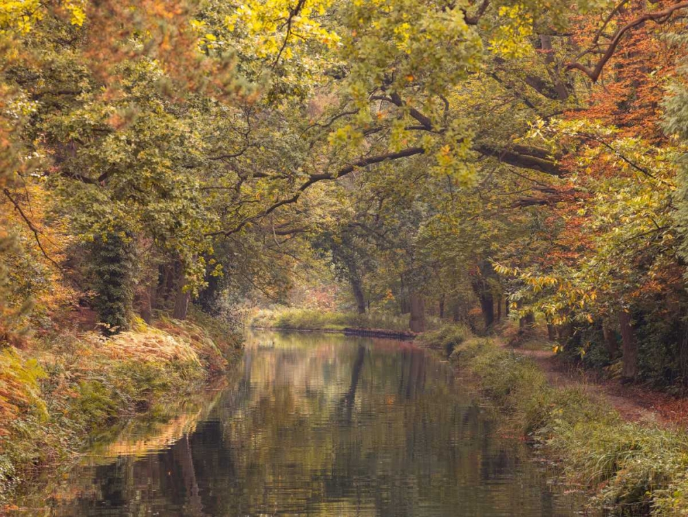 Wall Art Painting id:104121, Name: Basingstoke canal in countryside, UK, FTBR-1830, Artist: Frank, Assaf