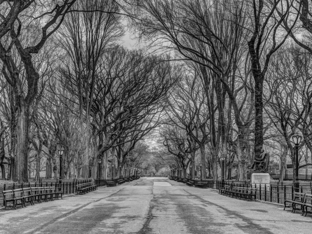 Wall Art Painting id:104226, Name: Pathway through Central park, New York, Artist: Frank, Assaf