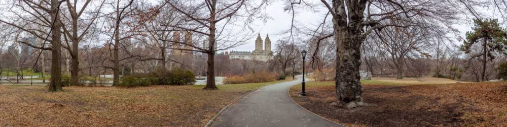 Wall Art Painting id:104229, Name: Pathway through Central park, New York, Artist: Frank, Assaf