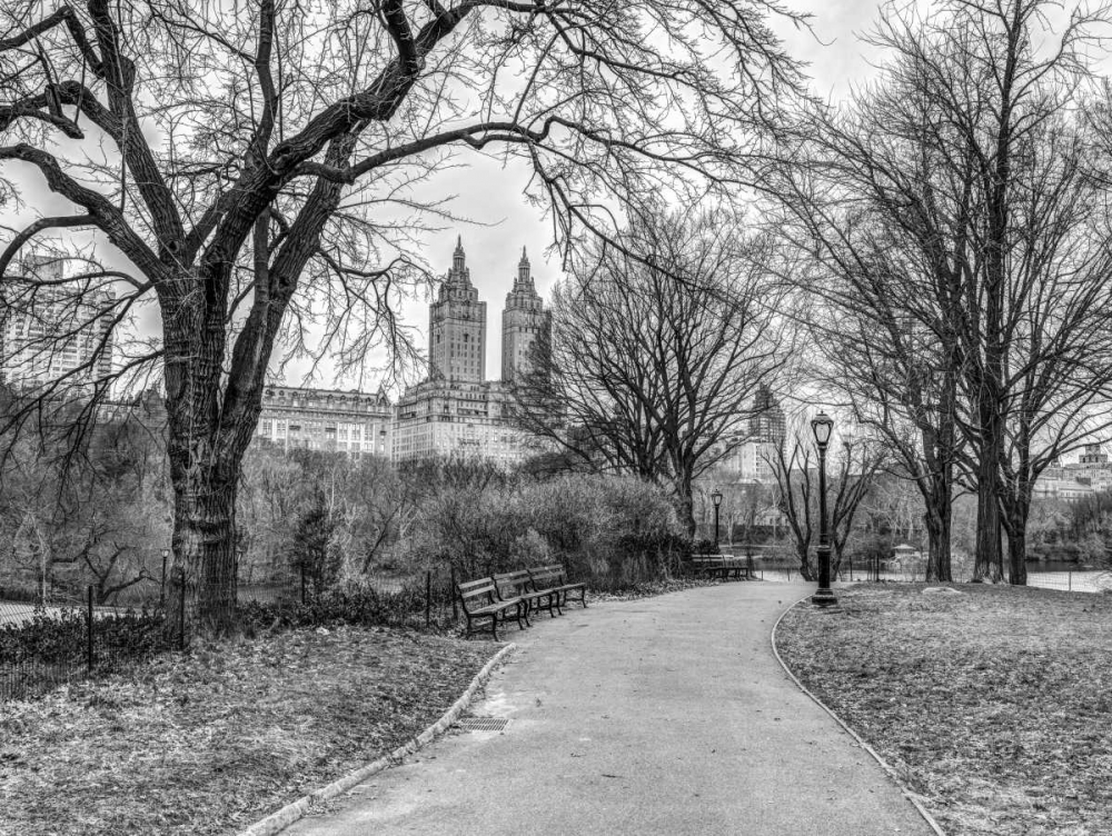 Wall Art Painting id:104230, Name: Central park with Manhattan skyline, New York, Artist: Frank, Assaf