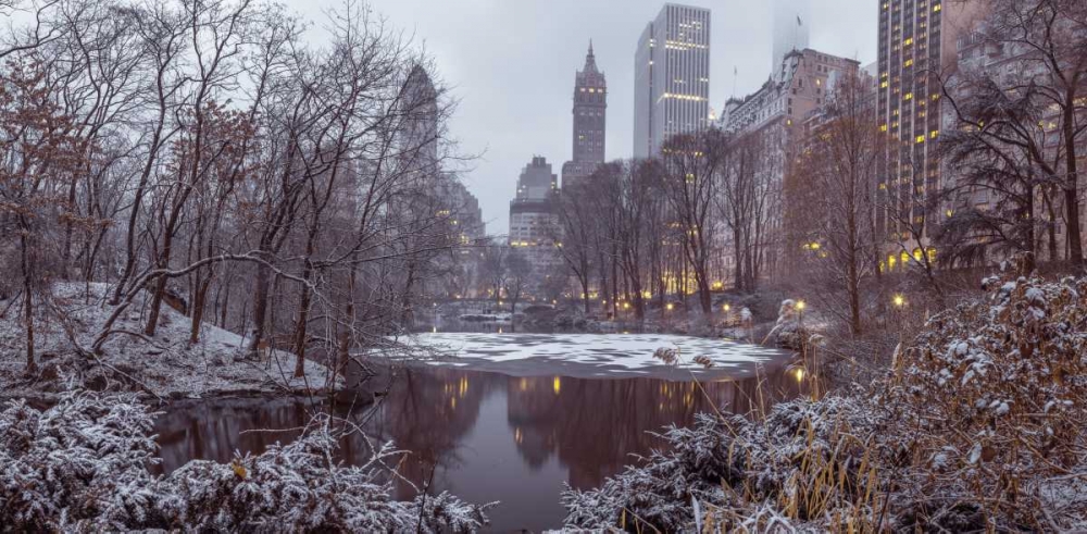 Wall Art Painting id:104232, Name: Central park with Manhattan skyline, New York, Artist: Frank, Assaf