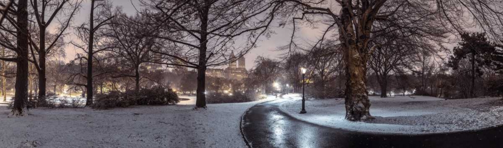 Wall Art Painting id:104239, Name: Central park with Manhattan skyline, New York, Artist: Frank, Assaf