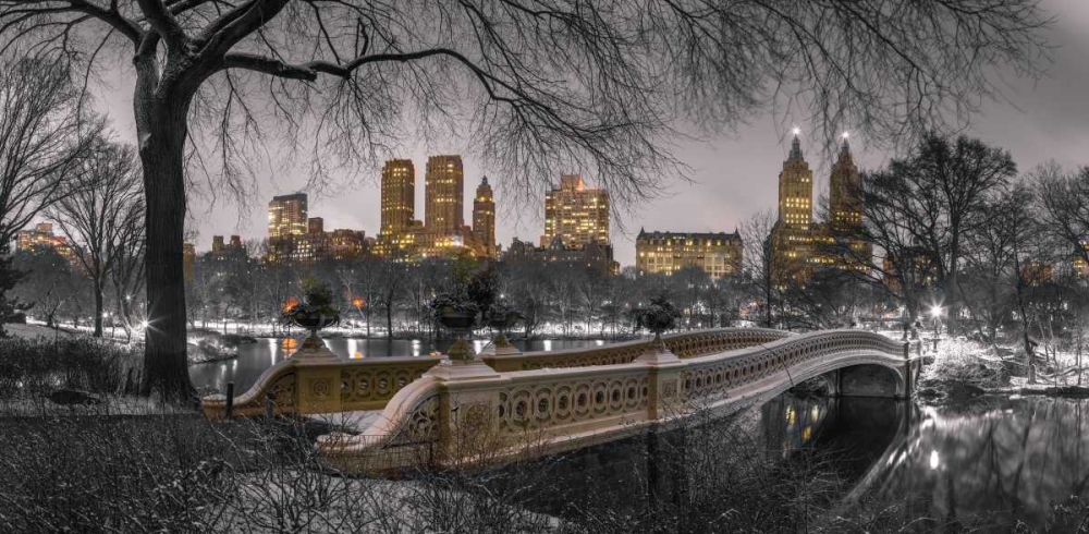 Wall Art Painting id:104243, Name: Central park with Manhattan skyline, New York, Artist: Frank, Assaf