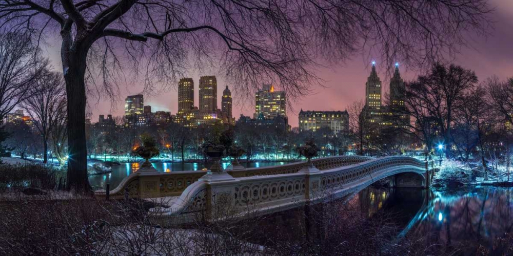 Wall Art Painting id:104241, Name: Central park with Manhattan skyline, New York, Artist: Frank, Assaf