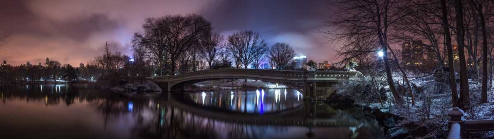 Wall Art Painting id:104245, Name: Central park with Manhattan skyline, New York, Artist: Frank, Assaf