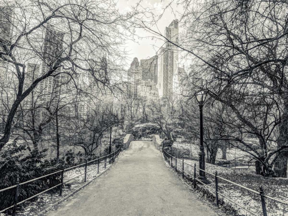 Wall Art Painting id:104254, Name: Pathway through Central park, New York, Artist: Frank, Assaf