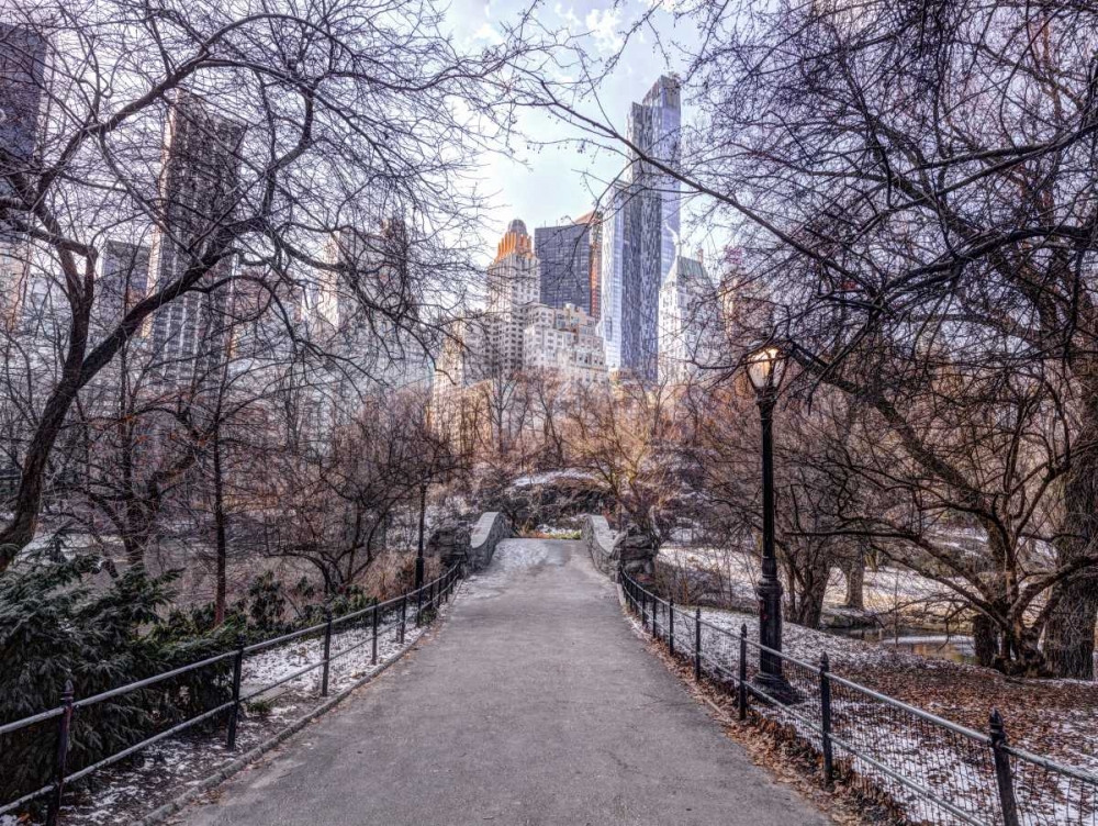 Wall Art Painting id:104253, Name: Pathway through Central park, New York, Artist: Frank, Assaf