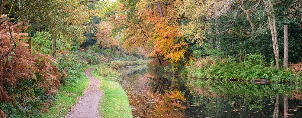 Wall Art Painting id:594381, Name: Pathway by canal in Autumn forest, Artist: Frank, Assaf