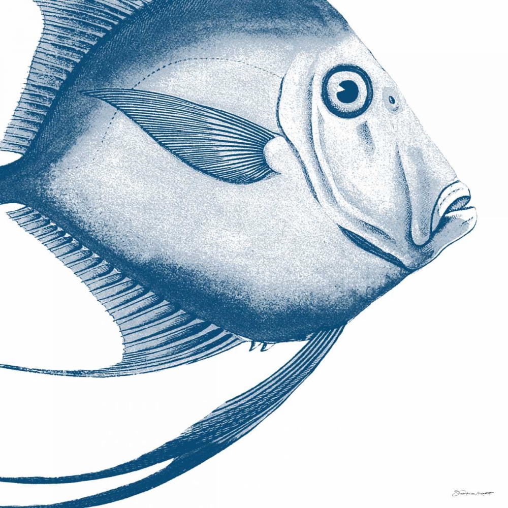 Wall Art Painting id:70378, Name: Blue Fish, Artist: Marrott, Stephanie