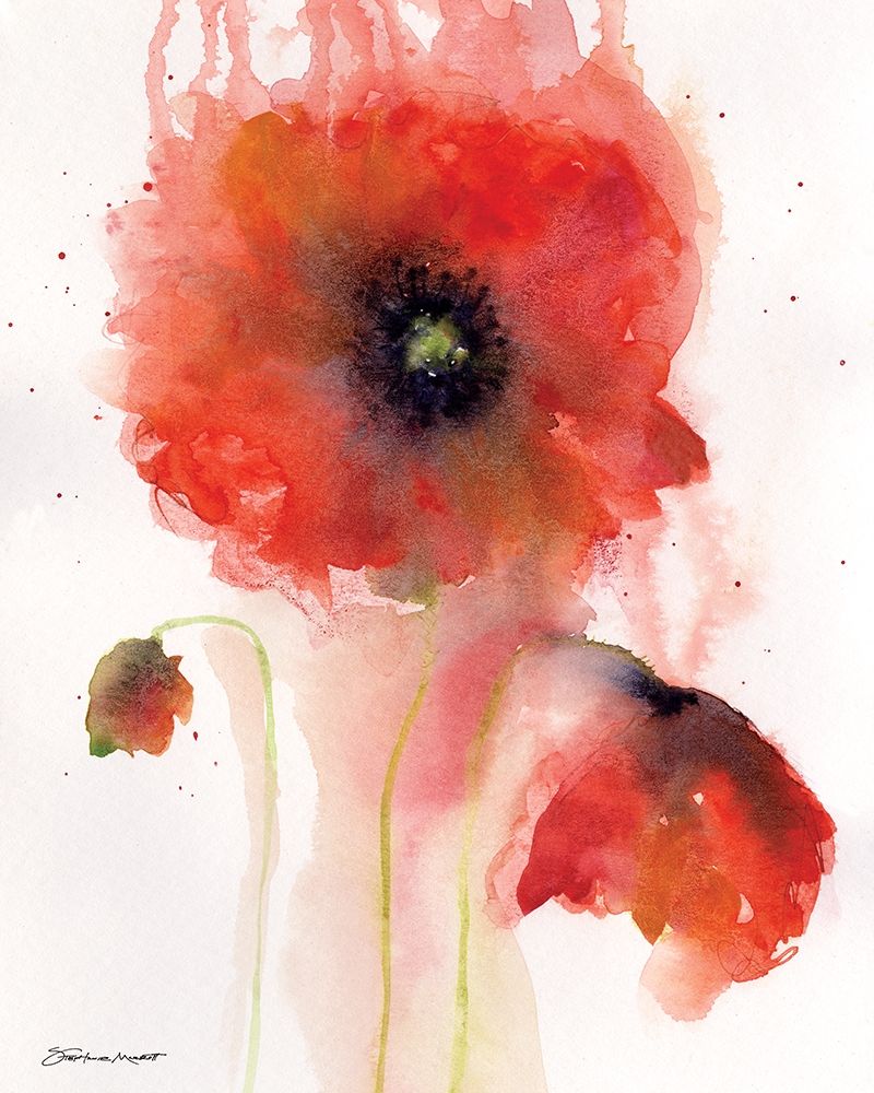 Wall Art Painting id:249466, Name: Poppy Impressions II, Artist: Marrott, Stephanie