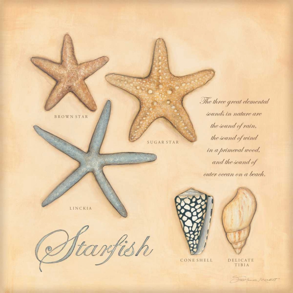 Wall Art Painting id:71317, Name: Starfish, Artist: Marrott, Stephanie